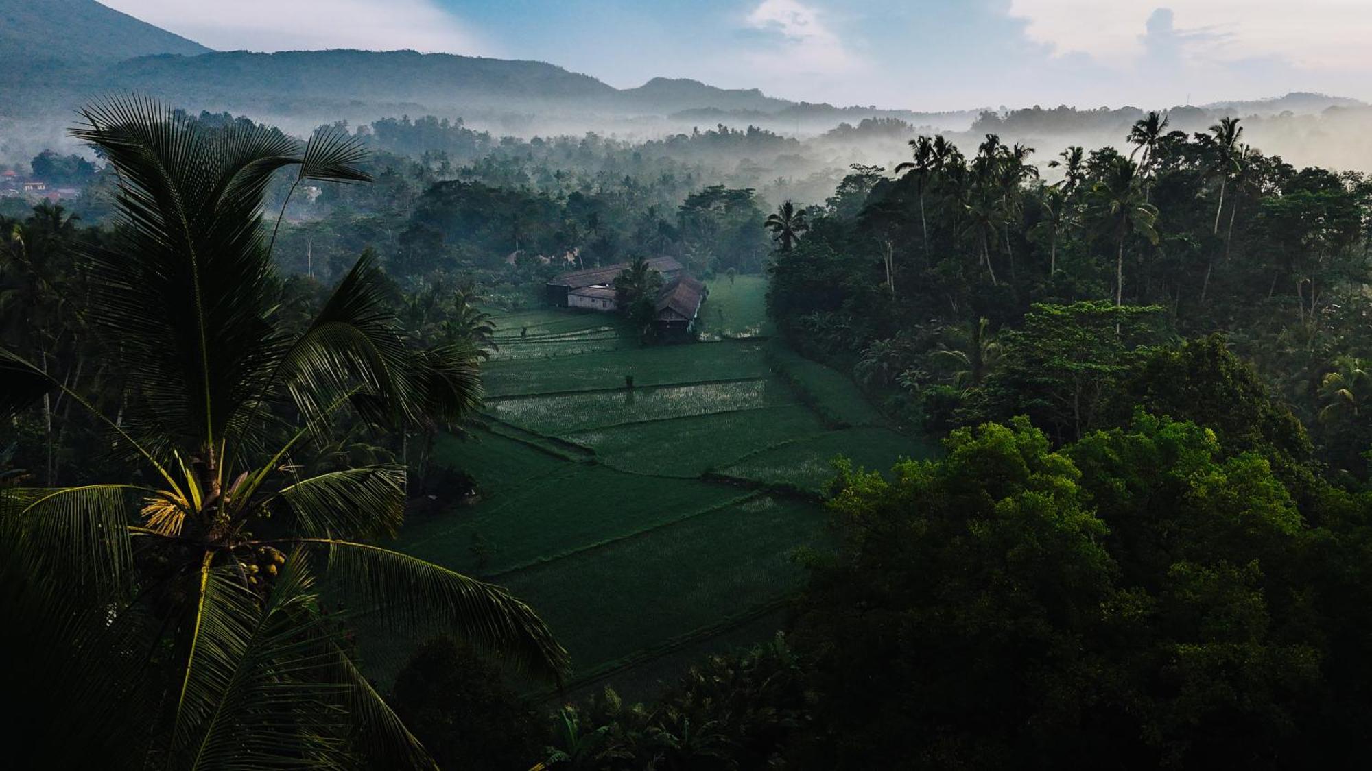 הוילה סיידמן Arcada Bali Bamboo House מראה חיצוני תמונה